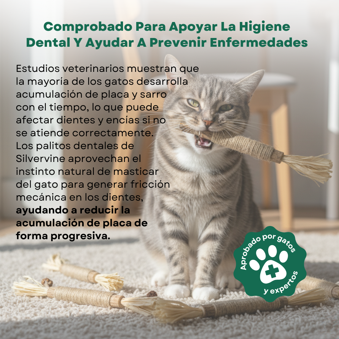 PurrNature Silvervine Dental Sticks