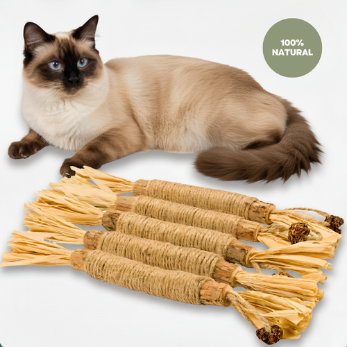 PurrNature 5 Silvervine Dental Sticks