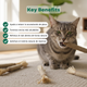 PurrNature Silvervine Dental Sticks