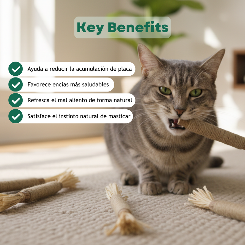 PurrNature Silvervine Dental Sticks