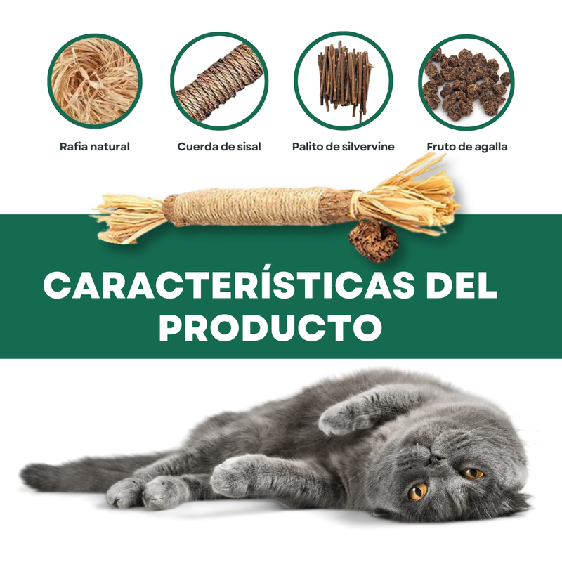 PurrNature Silvervine Dental Sticks