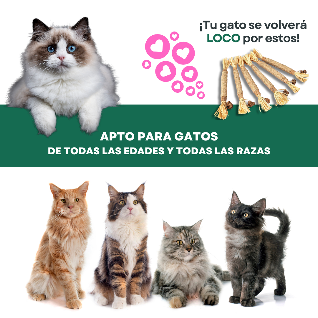 PurrNature Silvervine Dental Sticks