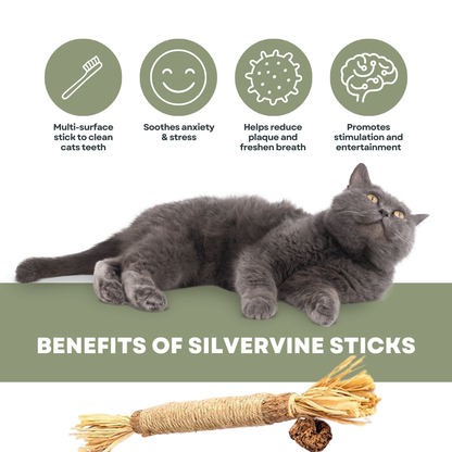 PurrNature 5 Silvervine Dental Sticks