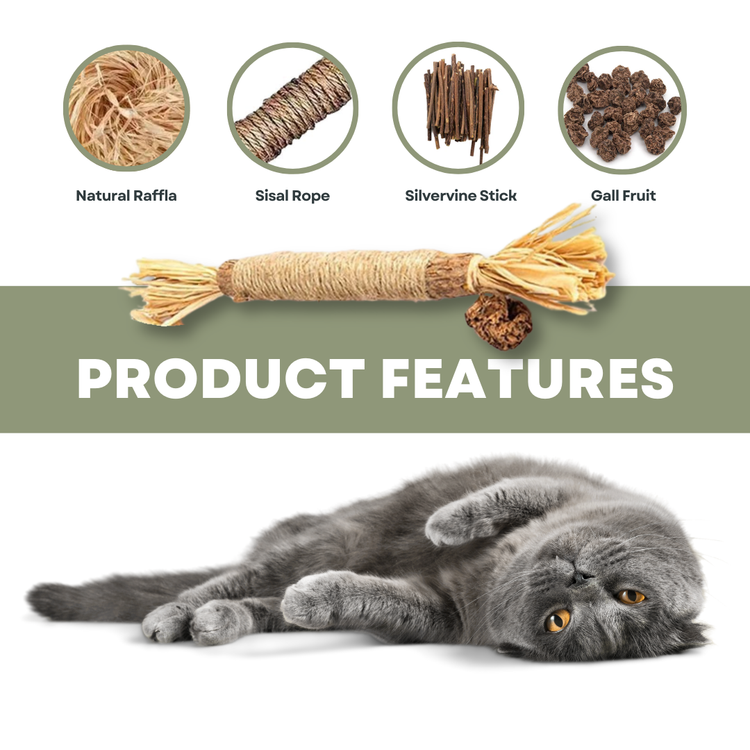PurrNature 5 Silvervine Dental Sticks