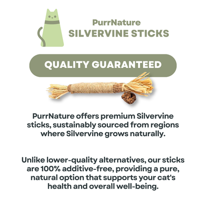 PurrNature 5 Silvervine Dental Sticks