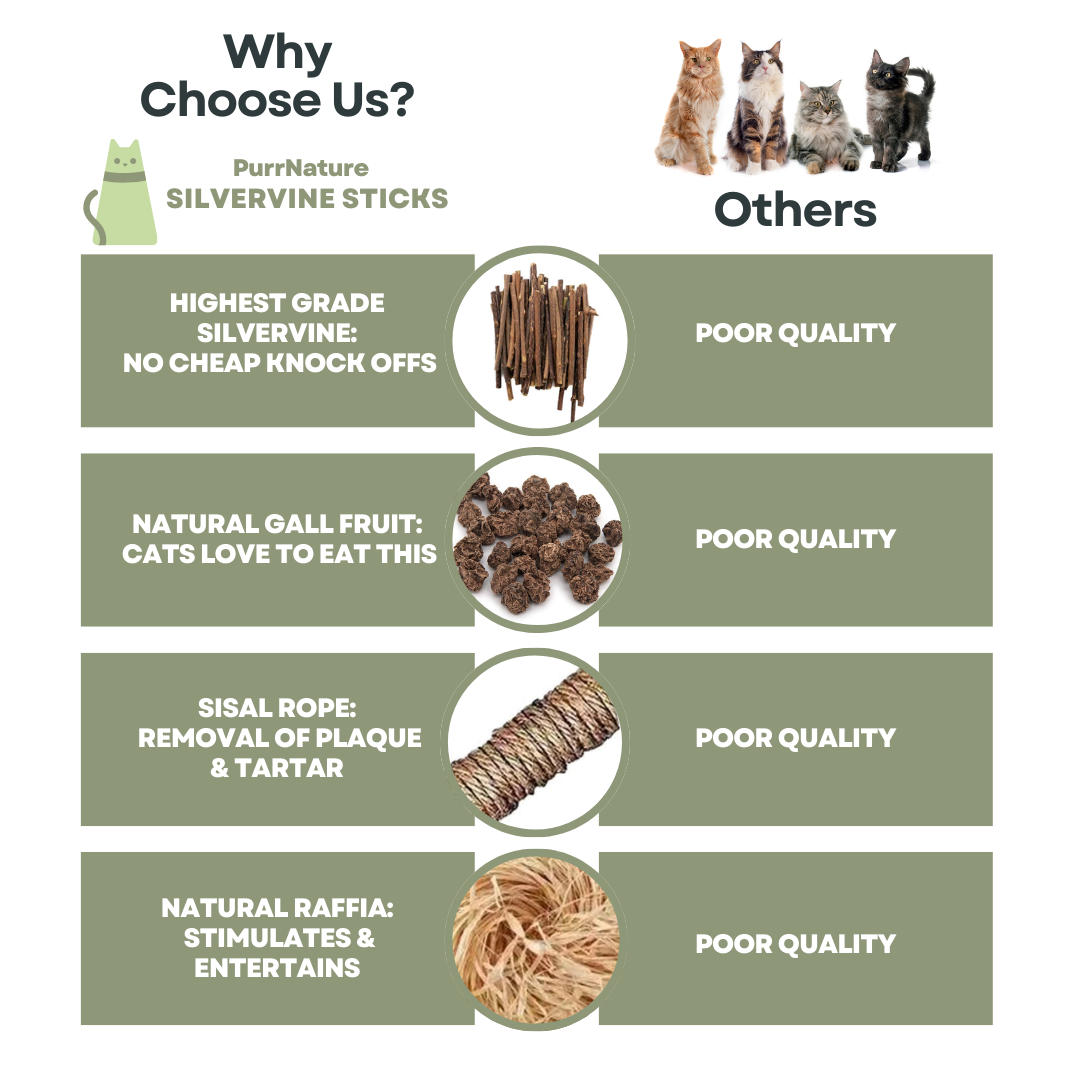 PurrNature 5 Silvervine Dental Sticks