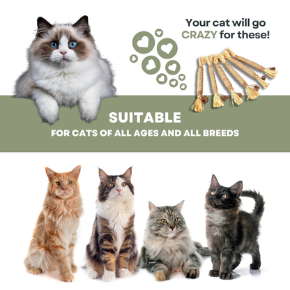PurrNature 5 Silvervine Dental Sticks