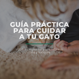 Guía Para Cuidar A Tu Gato