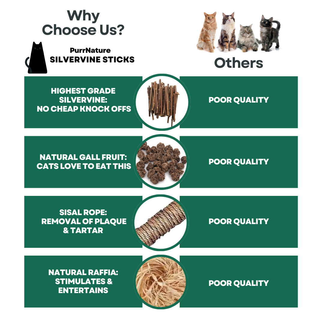 PurrNature Silvervine Dental Sticks